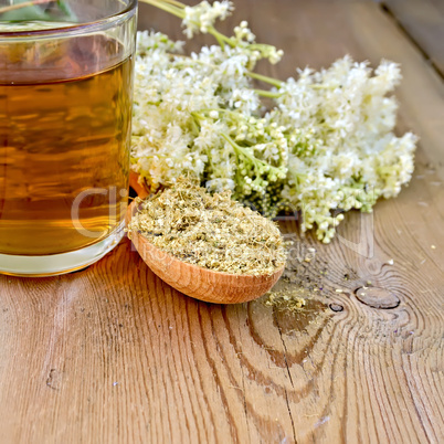 Herbal tea of meadowsweet dried in spoon and mug