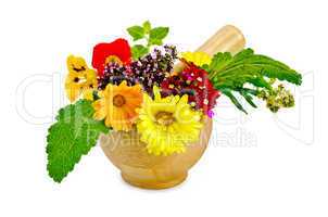 Herbs and flowers in a mortar