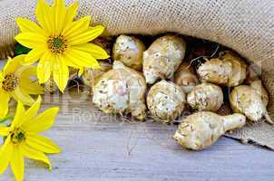 Jerusalem artichokes with burlap and flowers on board