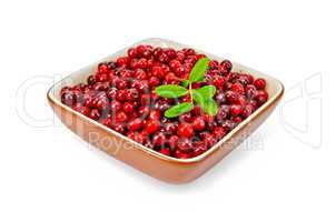 Lingonberry ripe in a bowl