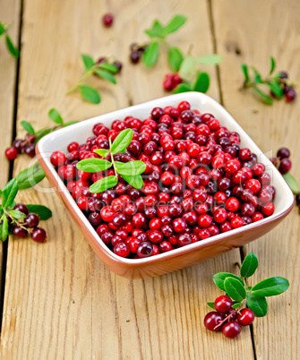 Lingonberry ripe in bowl on board