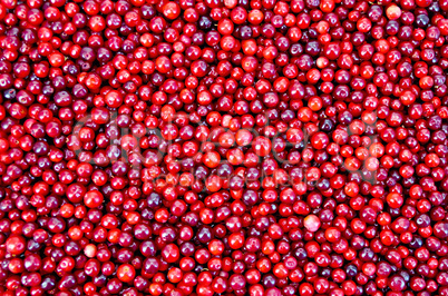 Lingonberry texture