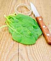 Spinach with a knife and twine on the board