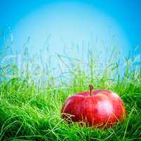 apple on the grass