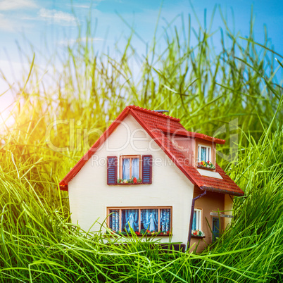 house on the green grass