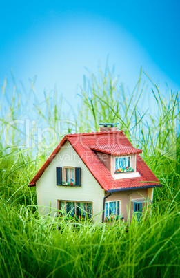 Little House on the green grass