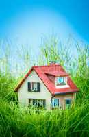 Little House on the green grass