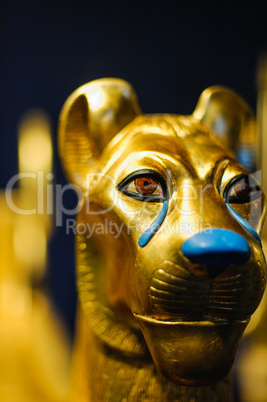 golden lion head