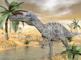 suchomimus dinosaurs in desert - 3d render