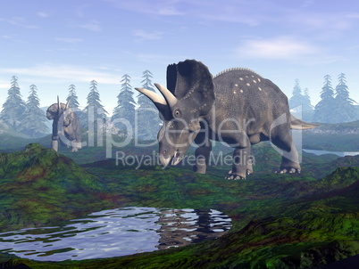 diceratops dinosaurs in mountain - 3d render