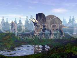 diceratops dinosaurs in mountain - 3d render
