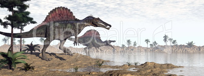spinosaurus dinosaurs in desert - 3d render