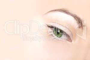 close-up of a green female eye