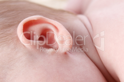 Ear of a small baby
