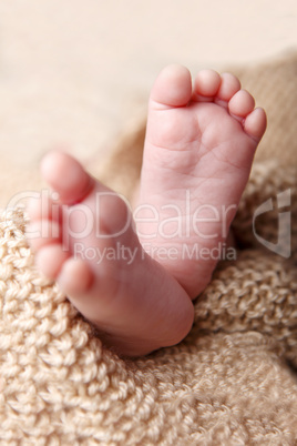 Baby feet