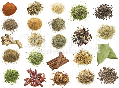 spices collection