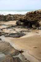 Moroccan coast in Dar Bouazza