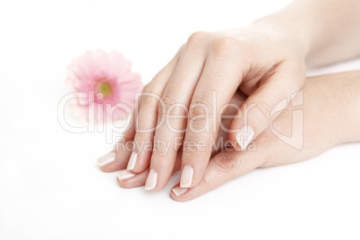 female hands after manicure