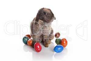 Easter bunny with colorful eggs