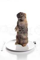Brown rabbit on the plate