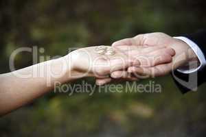 hands of a bride and groom