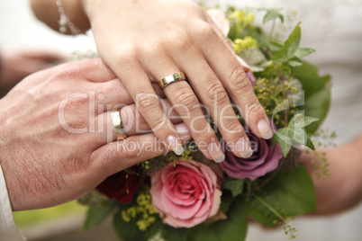 Hands of a bride and groom