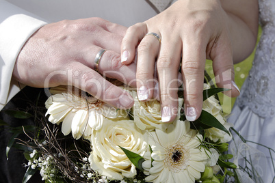 Hands of a bride and groom