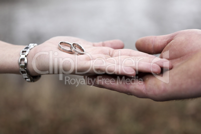 Hands of a bride and groom