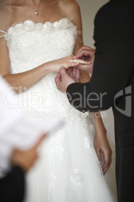 Hands of a bride and groom