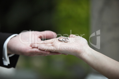 Hands of a bride and groom