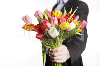 A hand full of colorful tulips