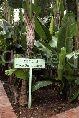 Jardin Majorelle