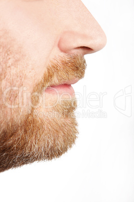 Male face profile with beard