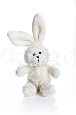 Sitting stuffed bunny