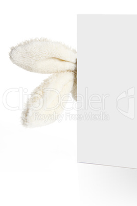 Rabbit ears look out from behind a white paper