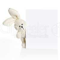 Rabbit ears look out from behind a white paper