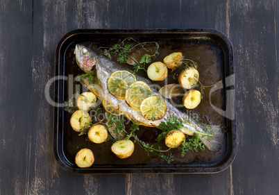 Baked Rainbow Trout