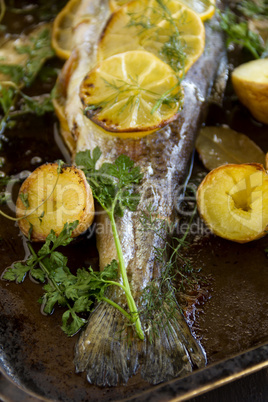 Baked Rainbow Trout Tail