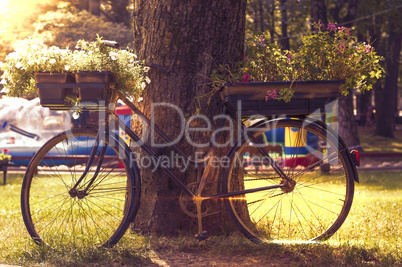 flowers on a black bicycle in the park