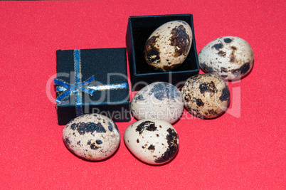 Quail Easter egg.