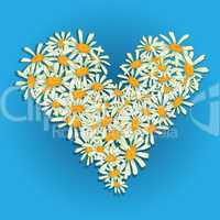 heart flowers camomile