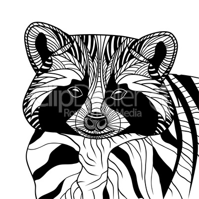 racoon or coon head vector animal illustration