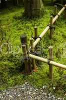Bamboo Fence
