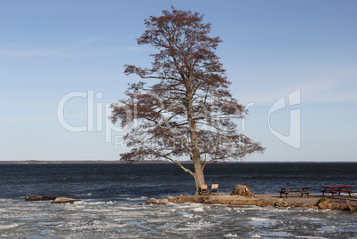 Lake Shore