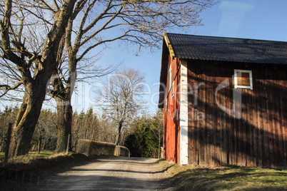 Dirt Road