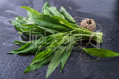 bear's garlic