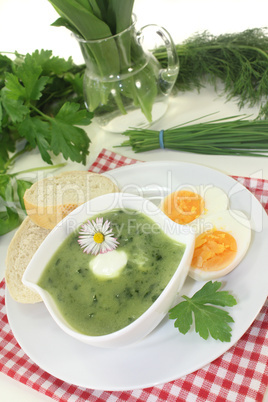 krÃ¤utersuppe