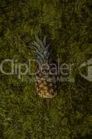pineapple on green grass