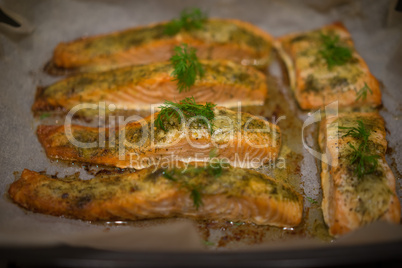 seasoned savory fish fillets