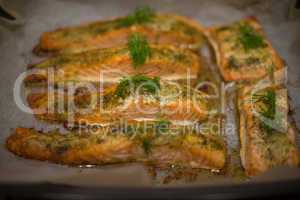 seasoned savory fish fillets
